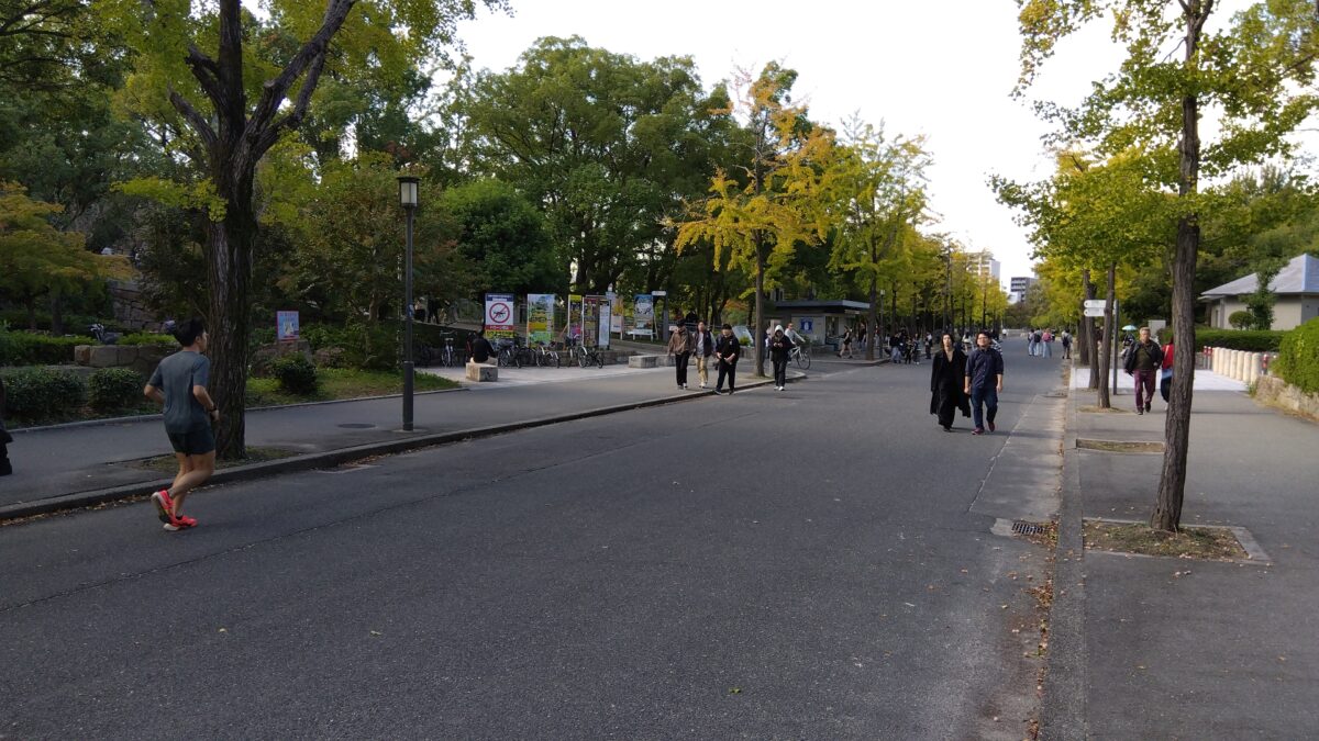 On the Way to Osaka Castle Tower