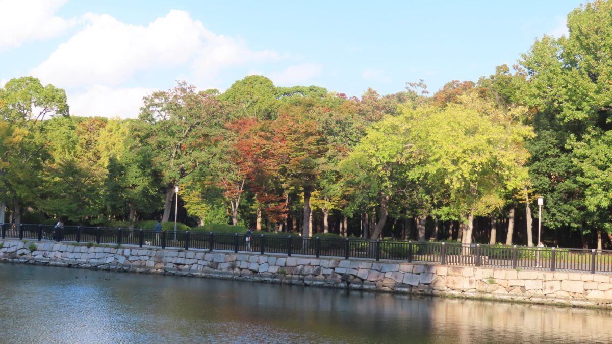 Autumn Leaves Starting to Change Color