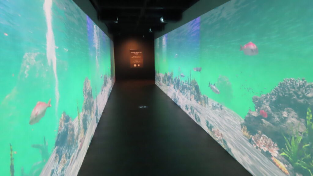 3D Digital Art at the Whirlpool Science Museum