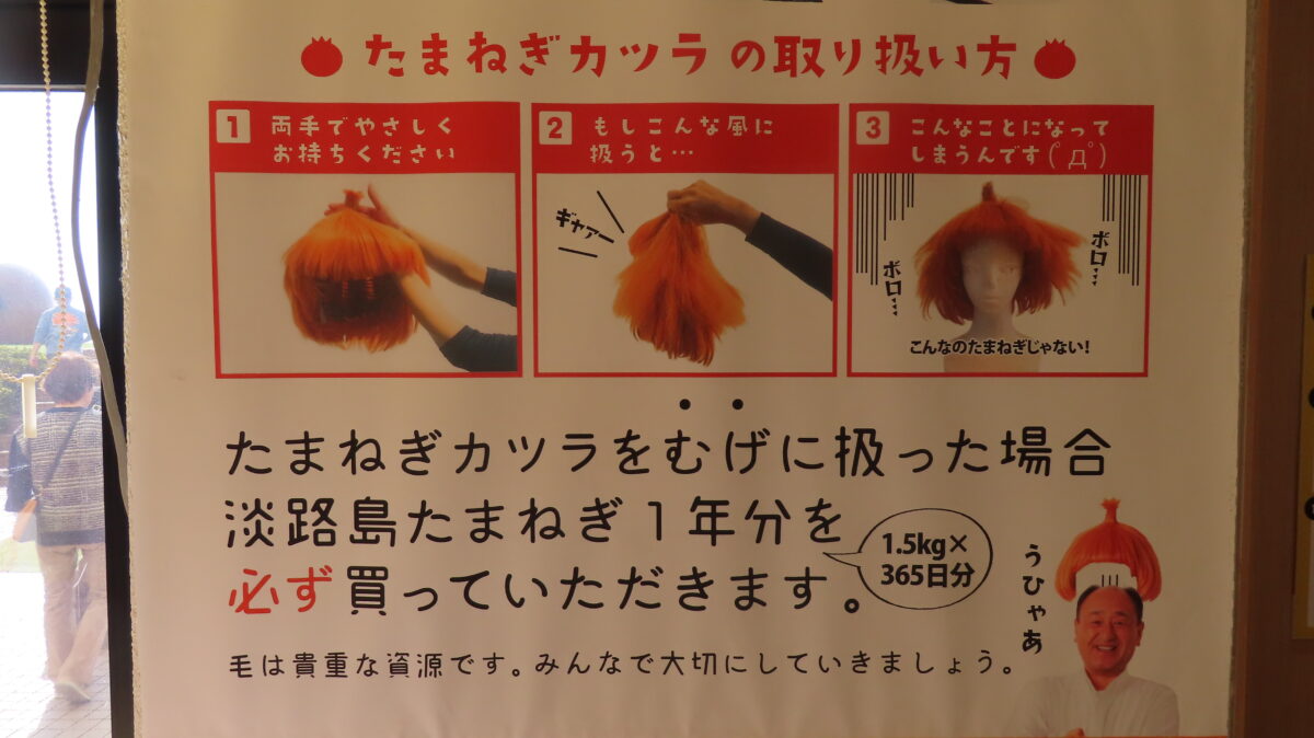 Onion Wig Handling Instructions