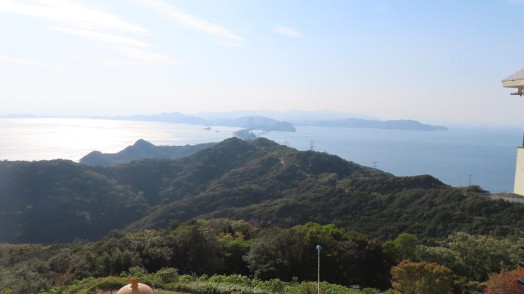 View from the observation deck