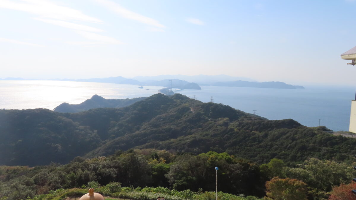 View from Observation Deck