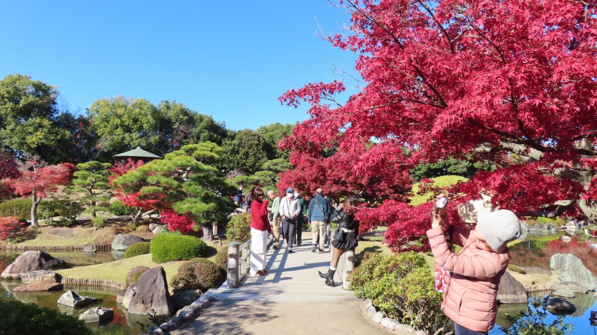 In front of Eiha Bridge & Ingetsu Bridge (as of November 29, 2025)