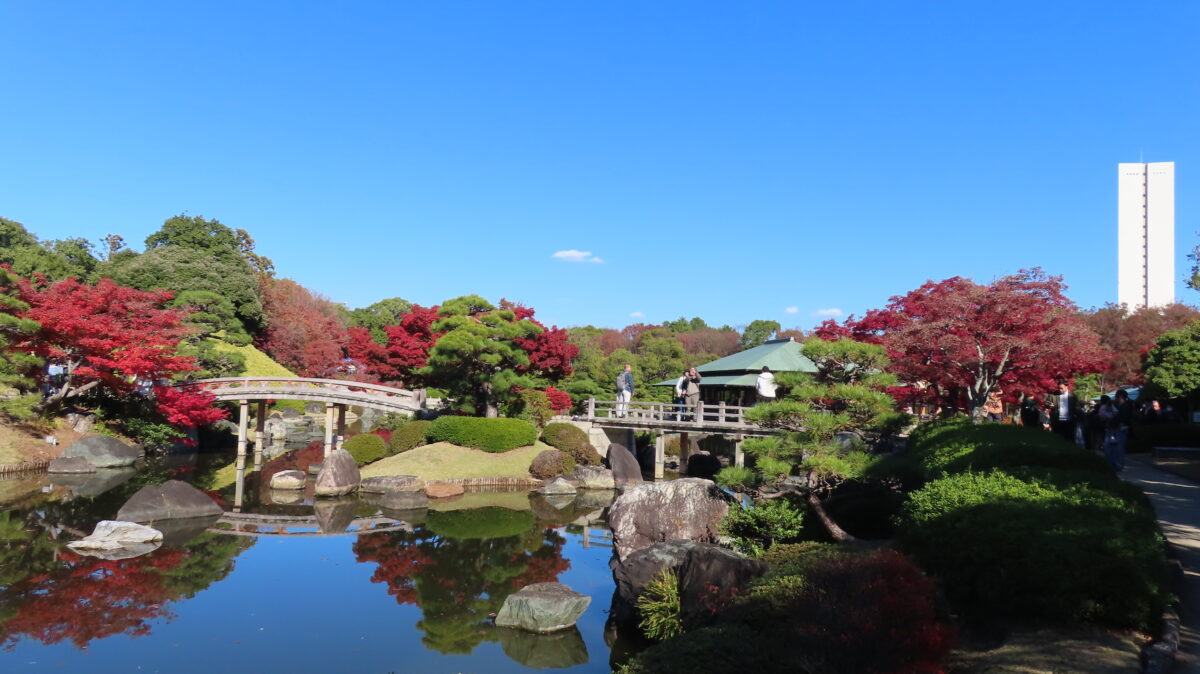 Overall view of the Japanese Garden (as of November 29, 2025)