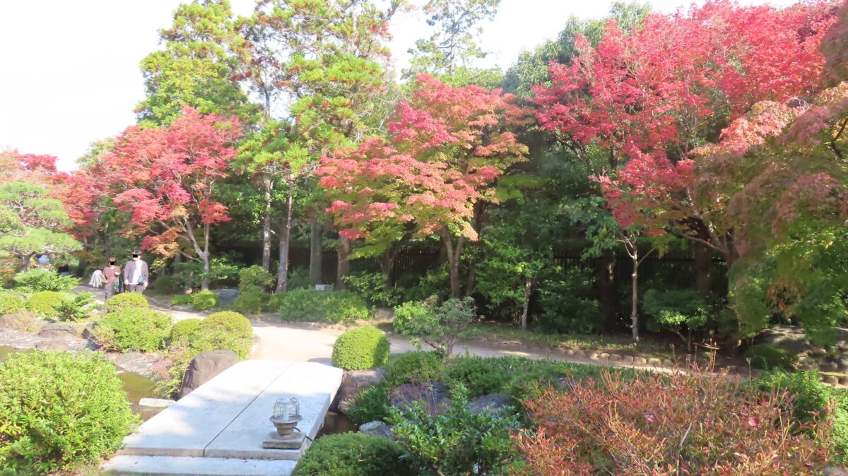Foliage near the Stone Bridge