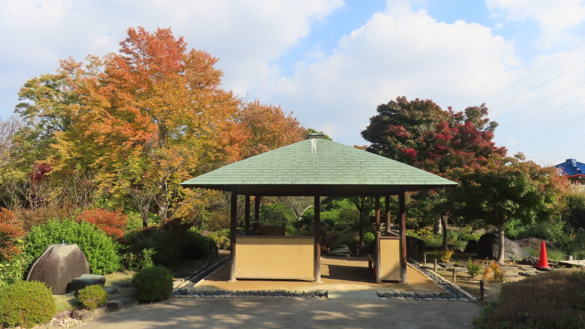 Foliage near the small rest area