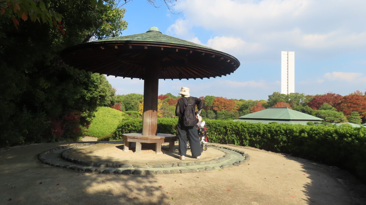 Observation hill inside the garden