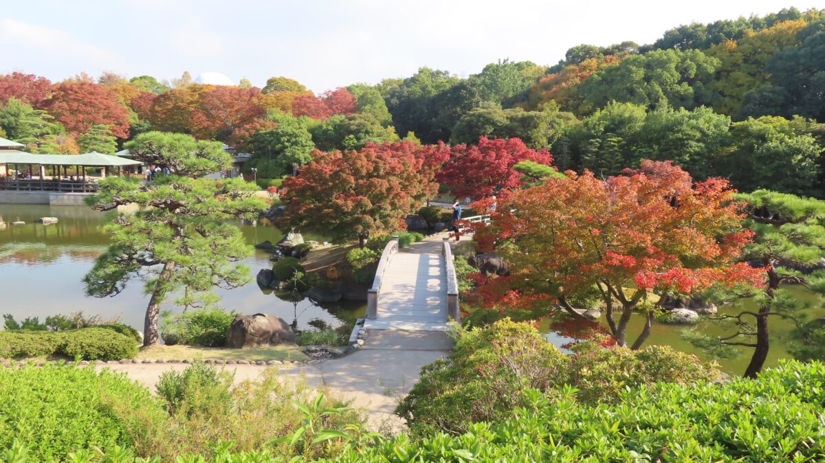 View of the area between the two bridges from the observation point