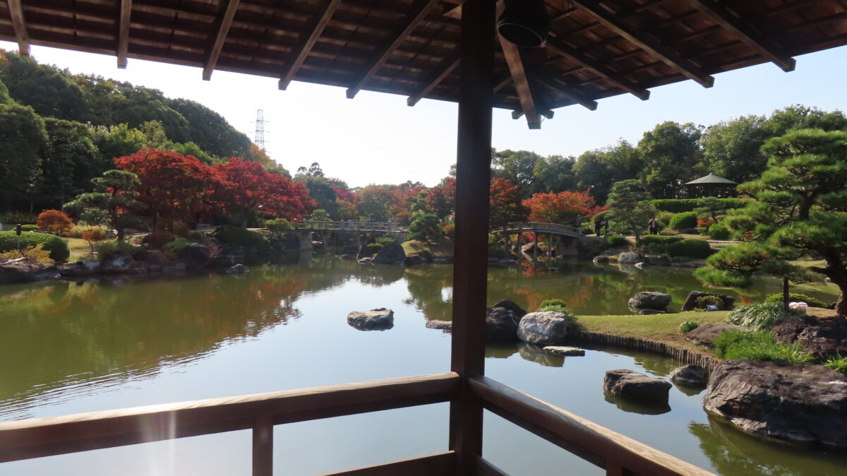 View of the garden from the corridor