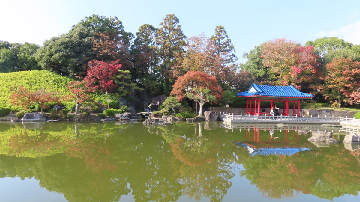 Autumn leaves reflected on the water