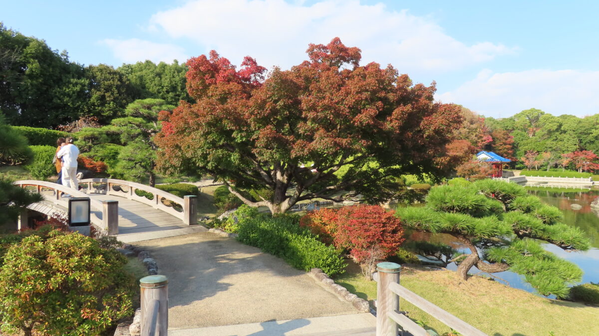Foliage between Eihabashi and Ingetsu Bridge