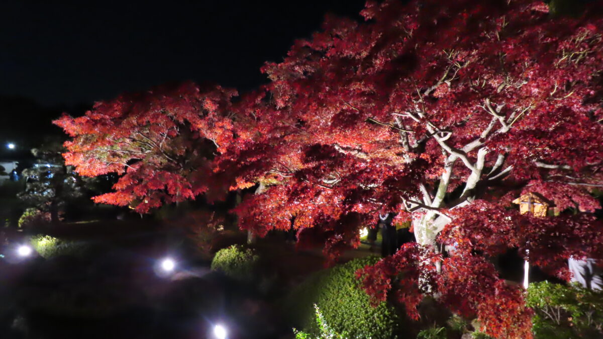 Autumn leaves seen from Eihabashi and Ingetsubashi Bridges