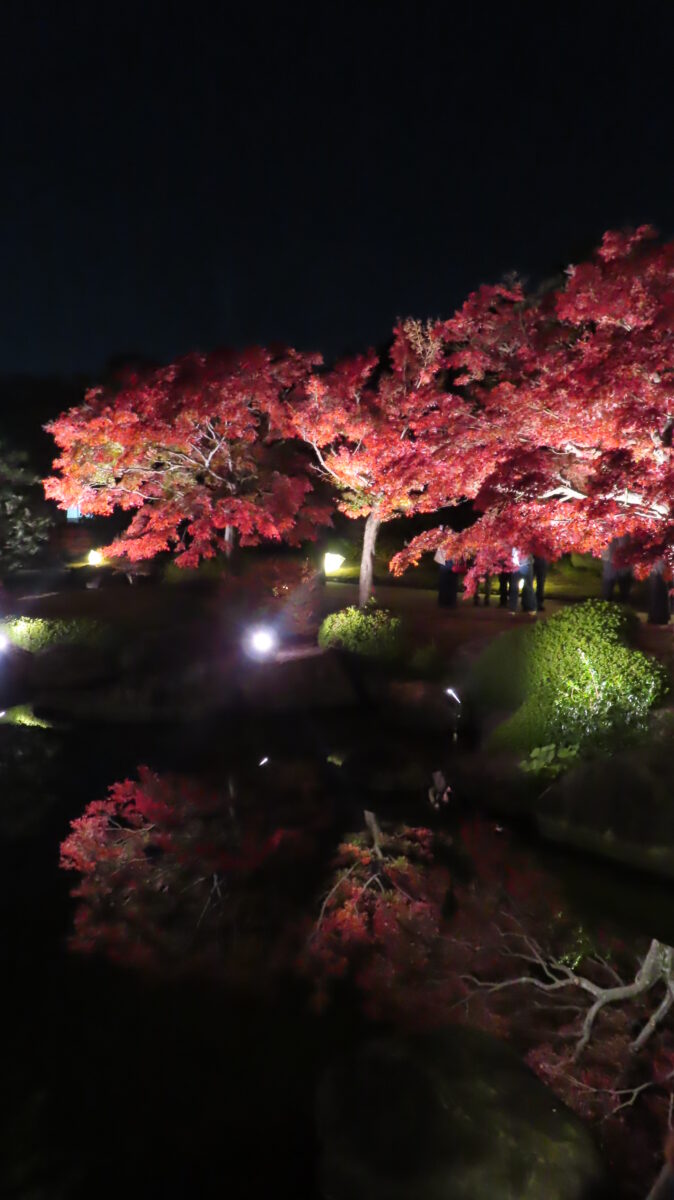 Upside-down reflection from Eihabashi Bridge