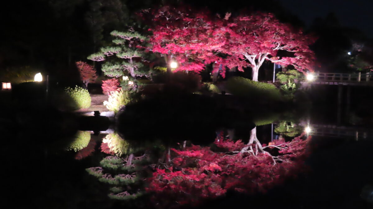 Upside-down reflection from the corridor ①