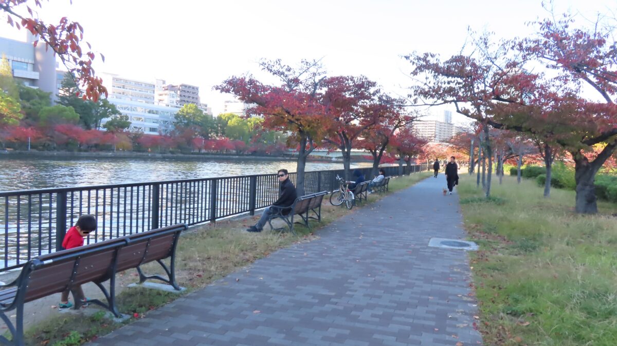 Benches along the riverside