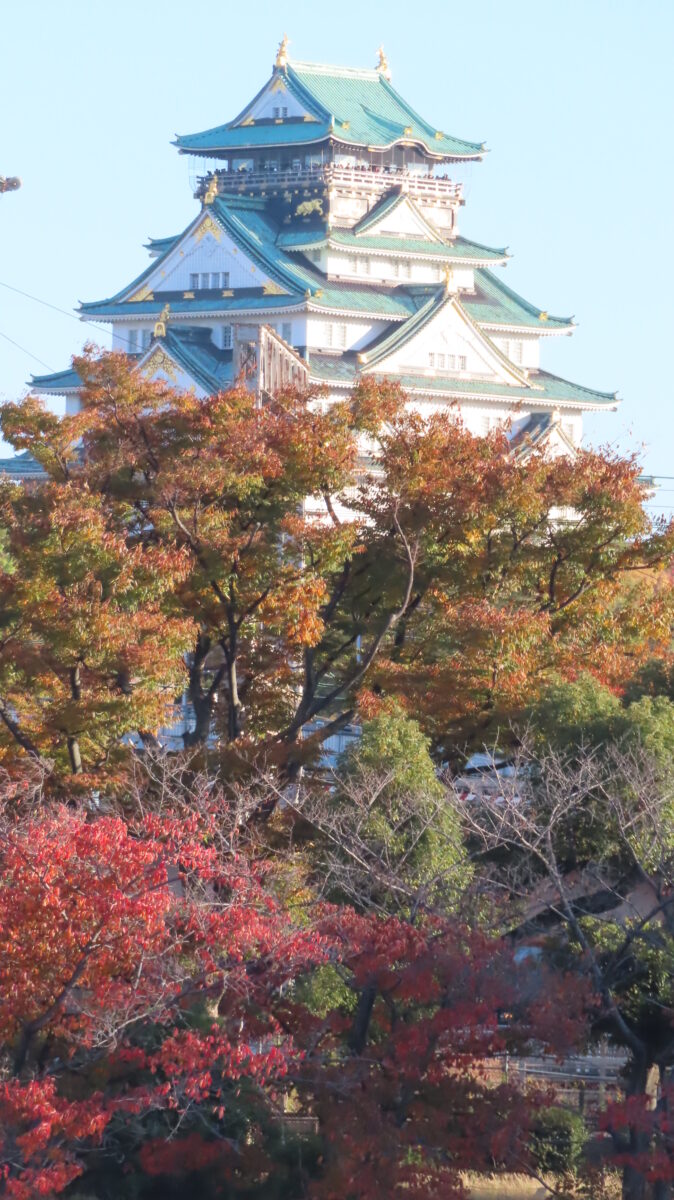 Osaka Castle towering above a hill of autumn leaves