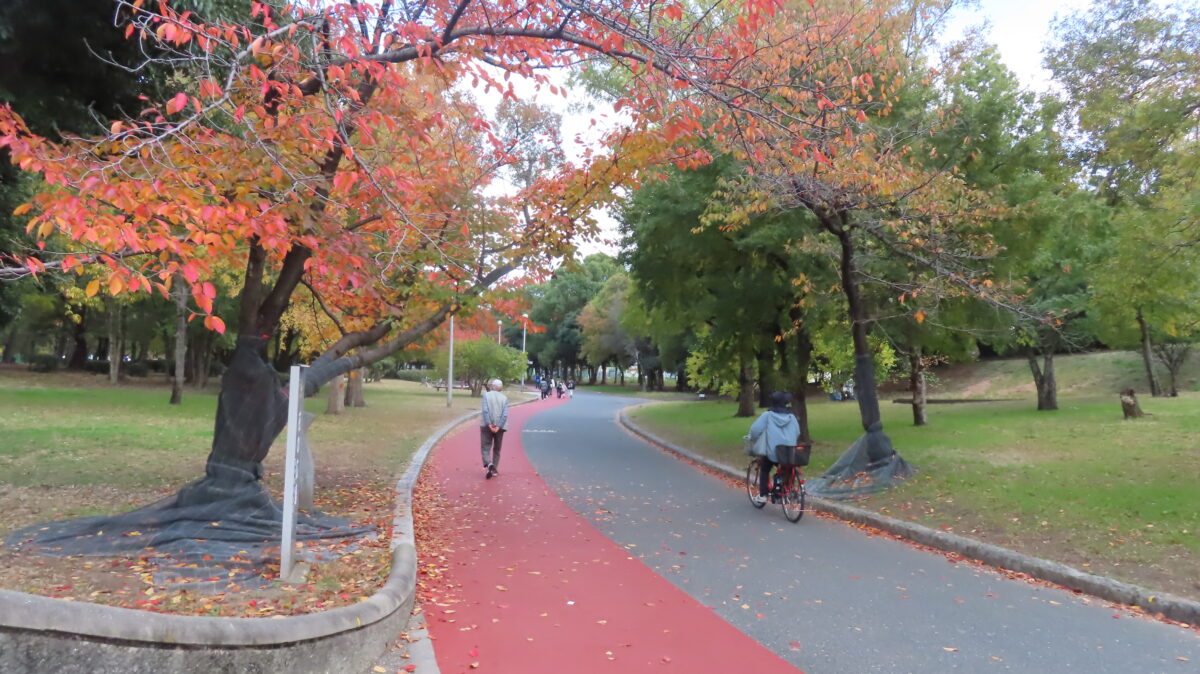 Jogging Course in Kyuhoji Ryokuchi