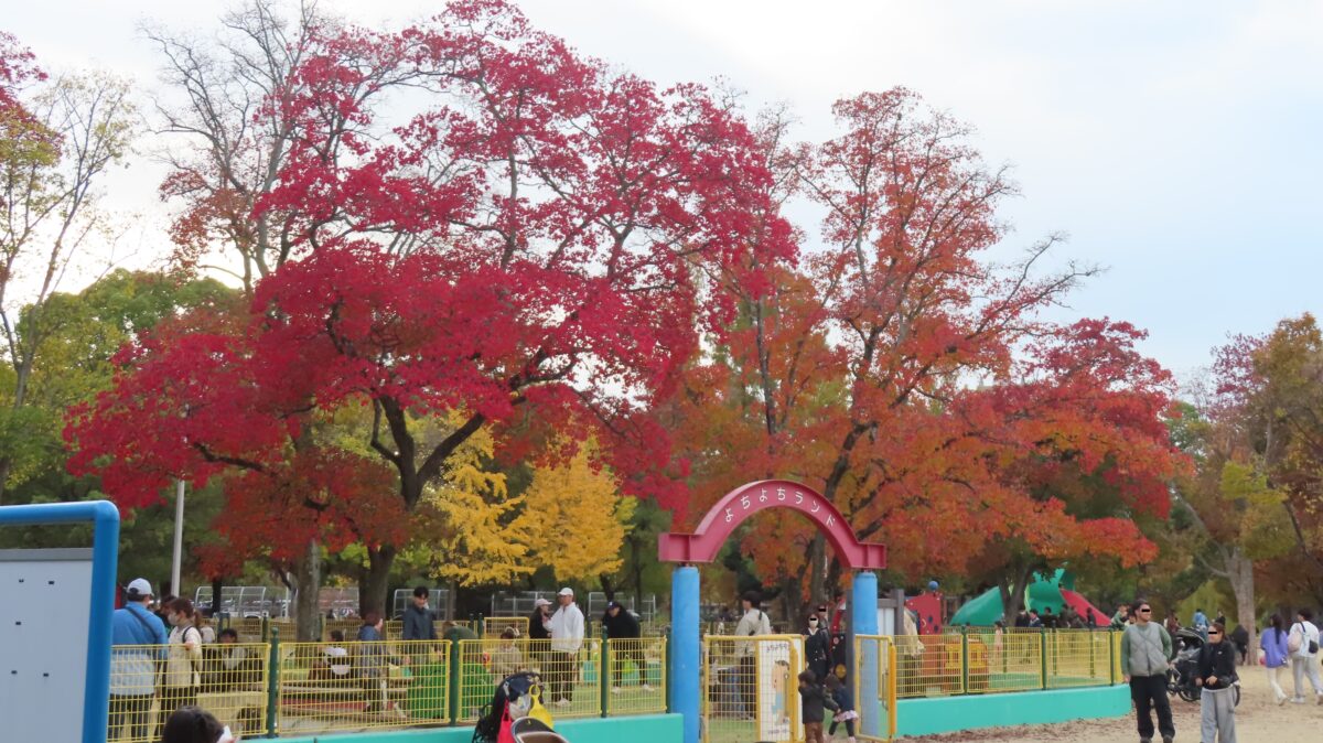 Autumn Foliage at Yochiyochi Land