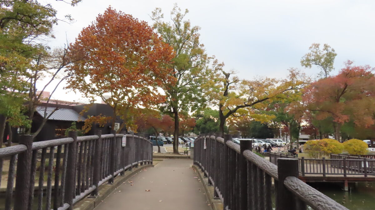 View from the Bridge at Wind Plaza