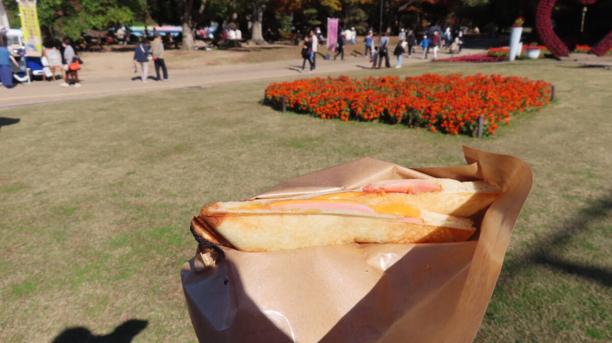 Ham and cheese hot sandwich