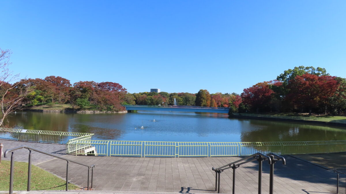 Central pond and autumn leaves at Nagai Botanical Garden