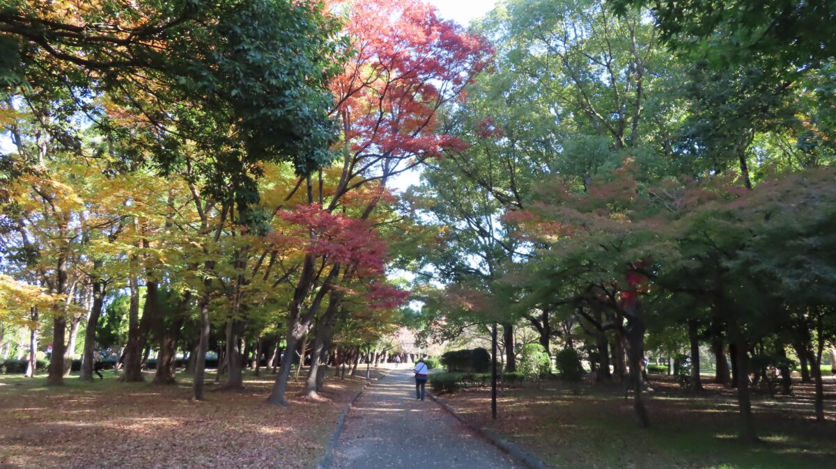 Walking path in Kyodo no Mori