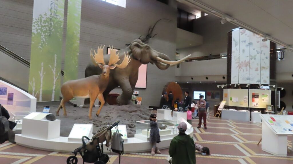 Giant reconstructed models of a Naumann elephant and Yabe's giant deer