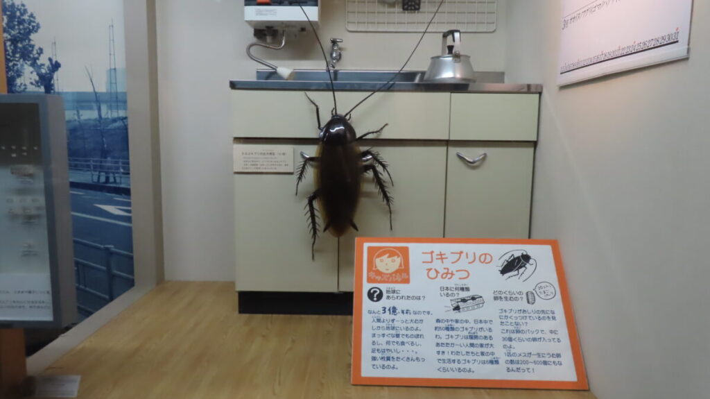 Giant cockroach model lurking in a kitchen cabinet exhibit