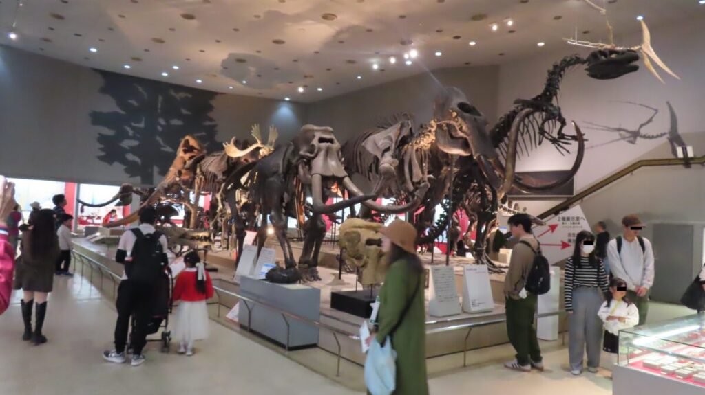 Impressive exhibit room with dinosaur and mammoth skeletons