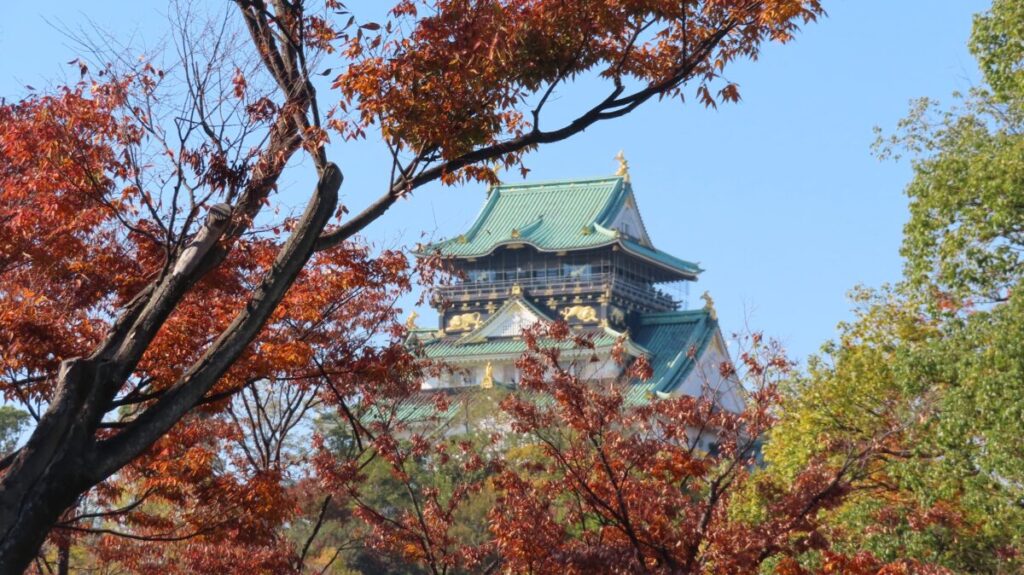 Osaka Castle through autumn leaves