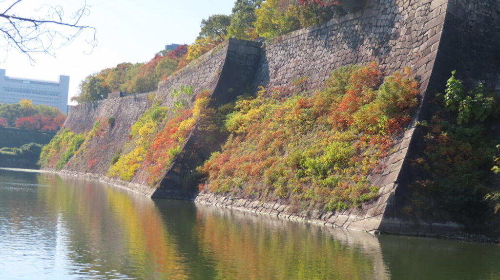 Colored plants on the stone wall