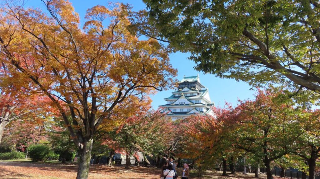 Zelkova, cherry trees, and Osaka Castle Tower