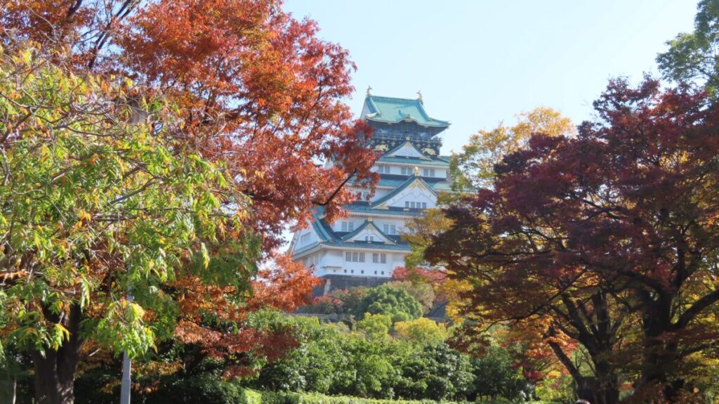 Colorful autumn foliage and the castle tower