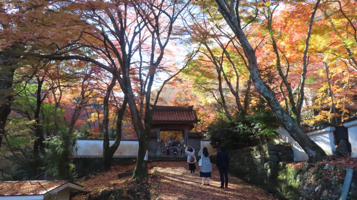 Path leading to the entrance gate of Daitokuji Temple