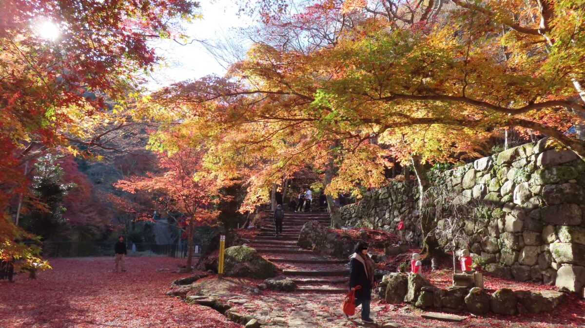 Picture-like autumn leaves at Daitokuji Temple