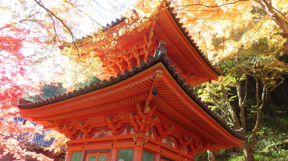 Tahōtō Pagoda viewed from below with golden leaves