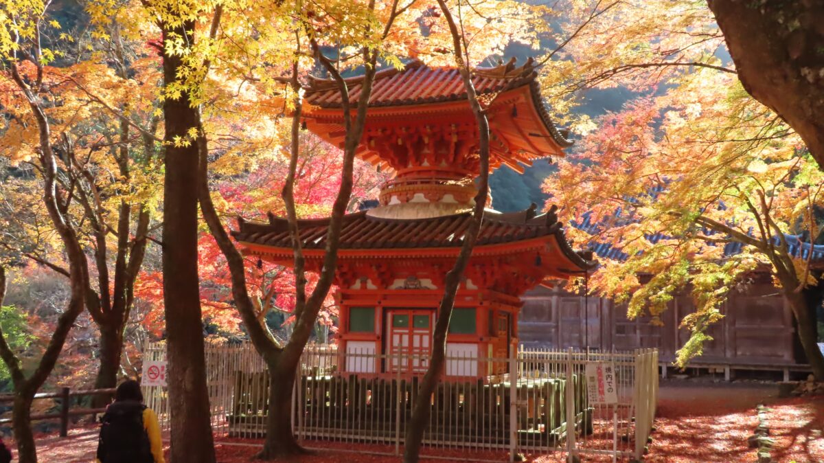 Back of the Tahōtō Pagoda