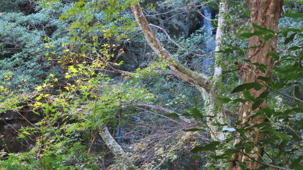 Ninotaki and Sannotaki Waterfalls