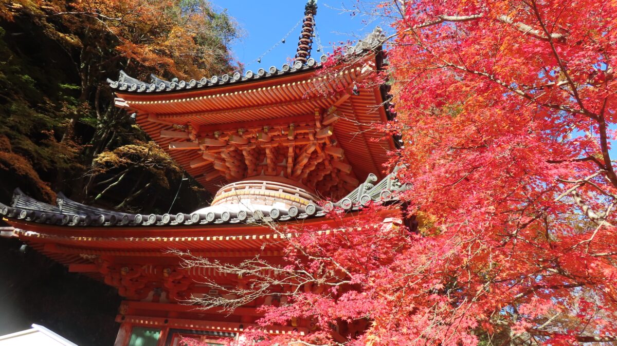 Ushitakisan Daitokuji Temple Autumn Leaves Guide | Access, Best