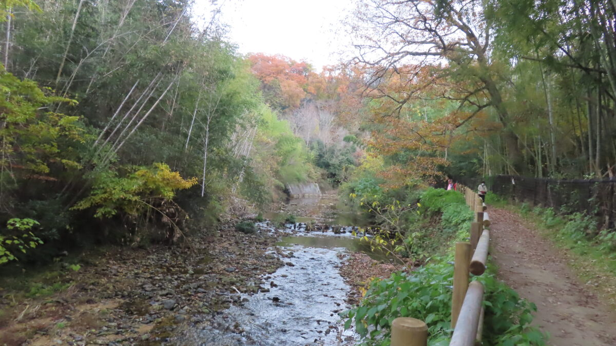 Kawazoi no Michi trail