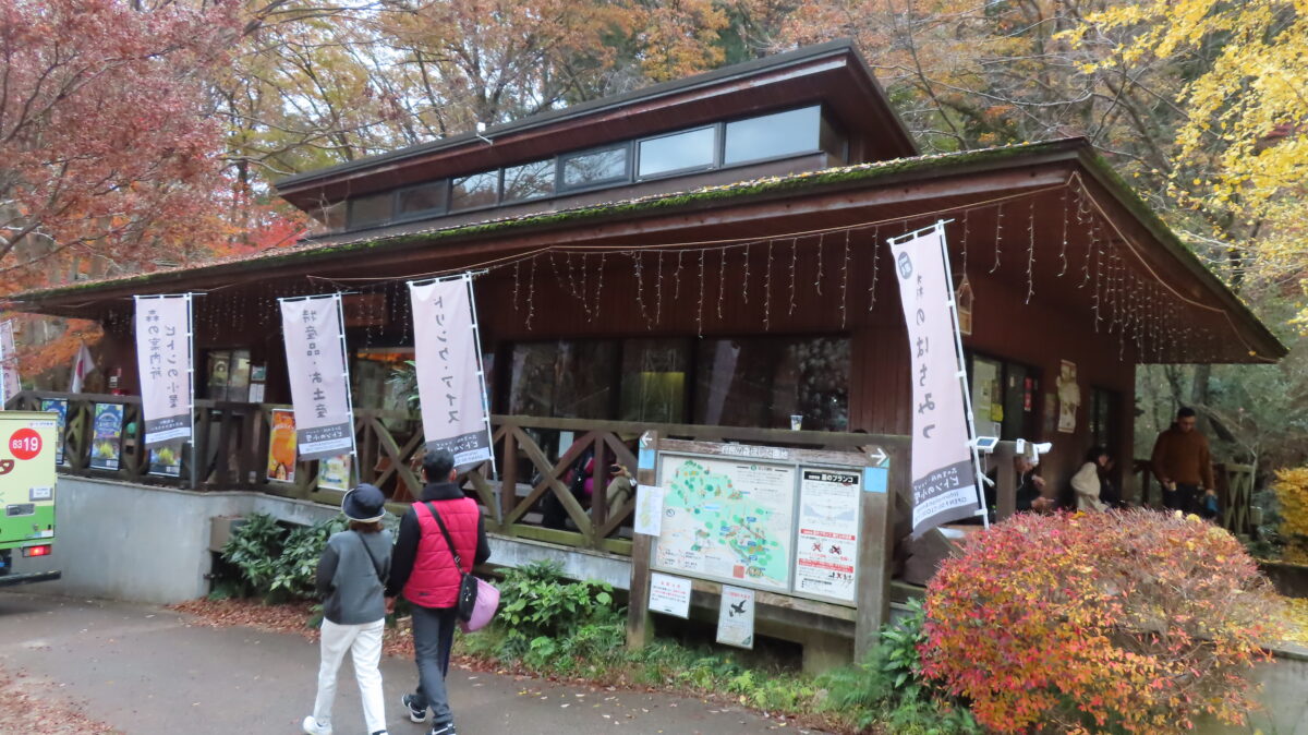 Piton no Koya
