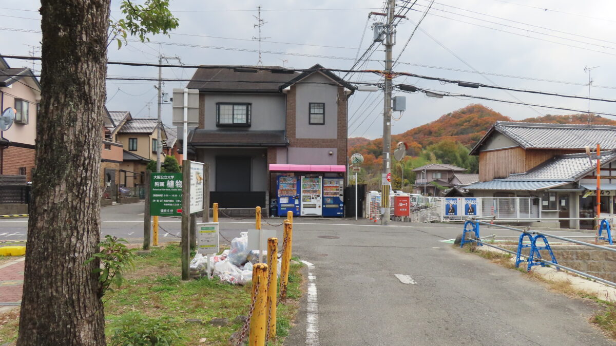 Turn right at this intersection!