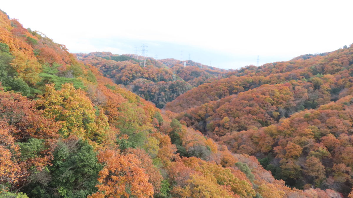 Side view from the bridge