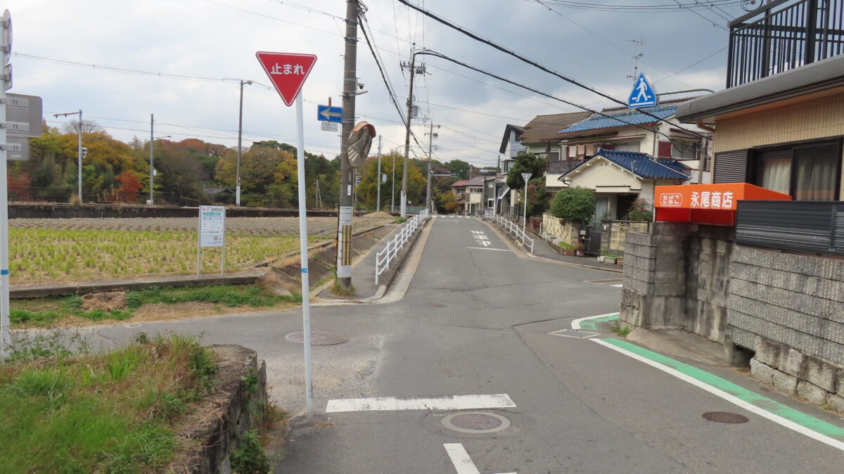 Rice field intersection
