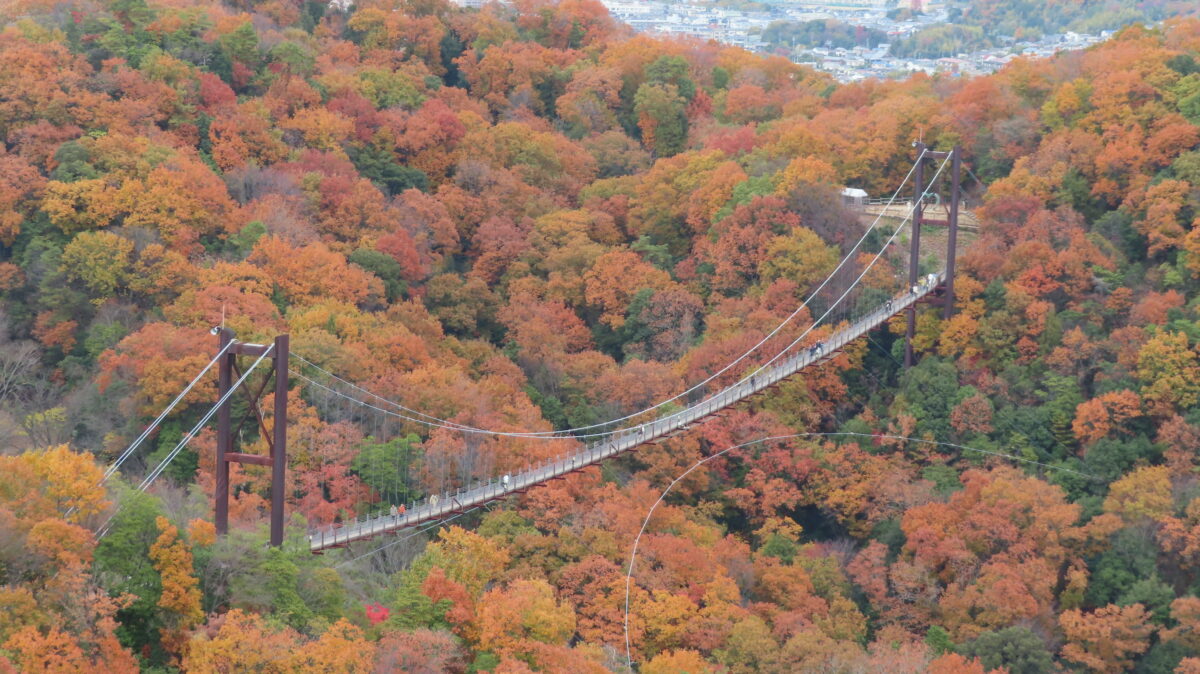 Zoomed-in view of Hoshi no Buranko from the observation deck