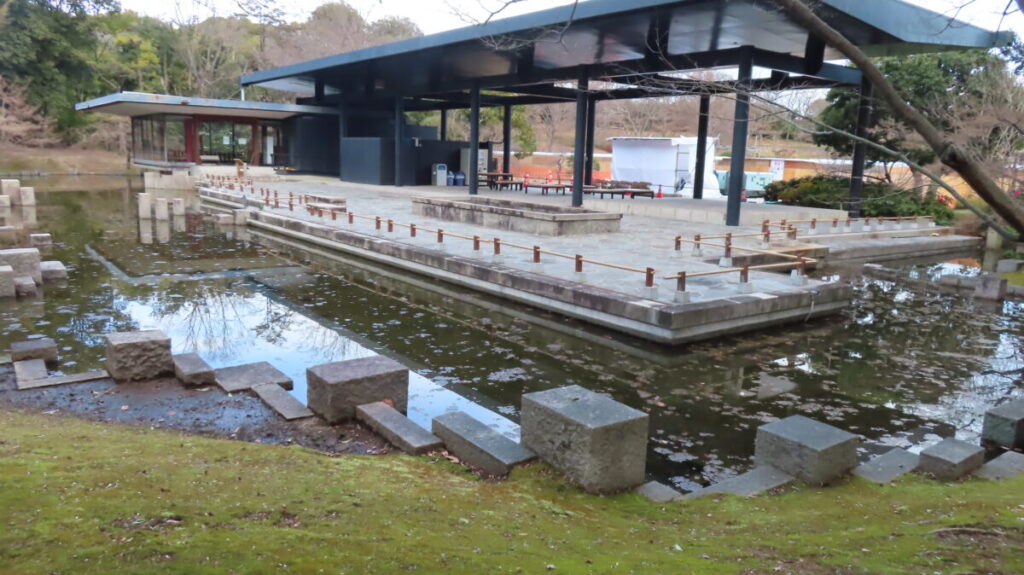 Nishikigoi swimming in Senritsu-no-Koi-ike